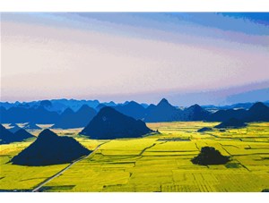 菜籽的收獲季節(jié)到了! 遍地黃花，清香飄田野~