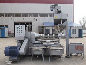 榨油機的具體工藝是怎樣的呢？